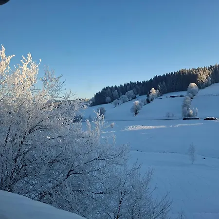 Anni Aktivcard 5 Personen Terrasse Bayerischer Wald Philippsreut