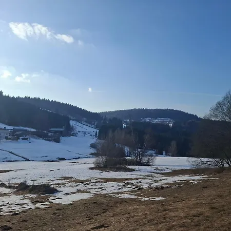 Apartment Anni - Inkl Aktivcard Bayerischer Wald Philippsreut