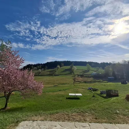 Anni Aktivcard 5 Personen Terrasse Bayerischer Wald * Philippsreut