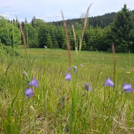 Apartamento Anni Aktivcard 5 Personen Terrasse Bayerischer Wald *