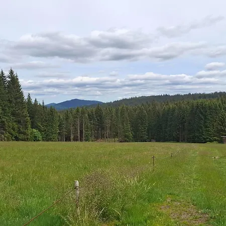 Anni Aktivcard 5 Personen Terrasse Bayerischer Wald Apartamento