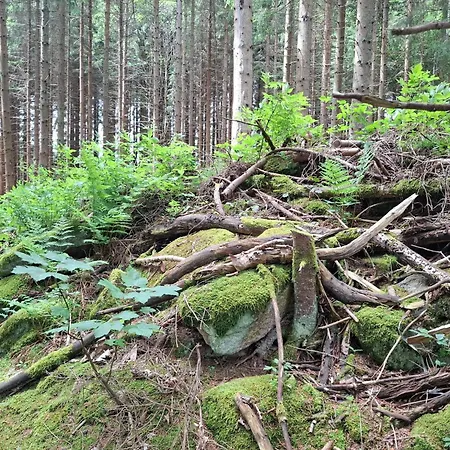 Anni - Inkl Aktivcard Bayerischer Wald *