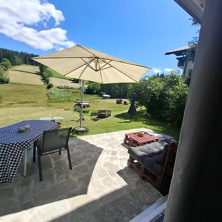 Apartamento Anni Aktivcard 5 Personen Terrasse Bayerischer Wald Philippsreut