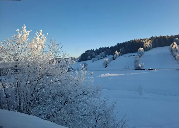 Anni - Inkl Aktivcard Bayerischer Wald Philippsreut