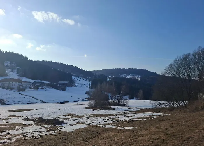 Appartement Anni - Inkl Aktivcard Bayerischer Wald Philippsreut